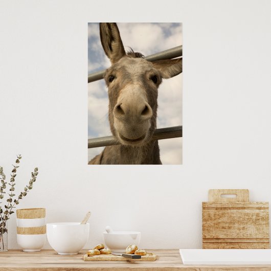 Poster souriant Burro (Cuisine)