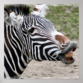 Poster souriant Zebra (Devant)