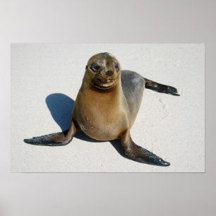Poster Sourire