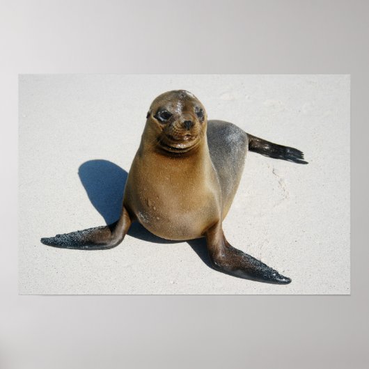 Poster Sourire (Devant)