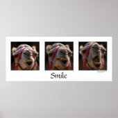 Poster Sourire (Devant)