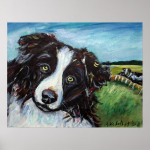 Poster Sourire de border collie