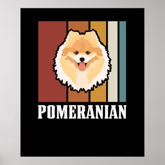 Poster Sourire Poméranien Rétro (Devant)