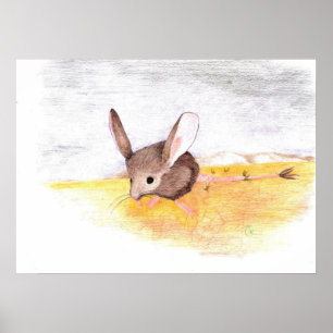 Poster Souris sèche