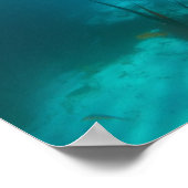 Poster Sous la glace (Coin)