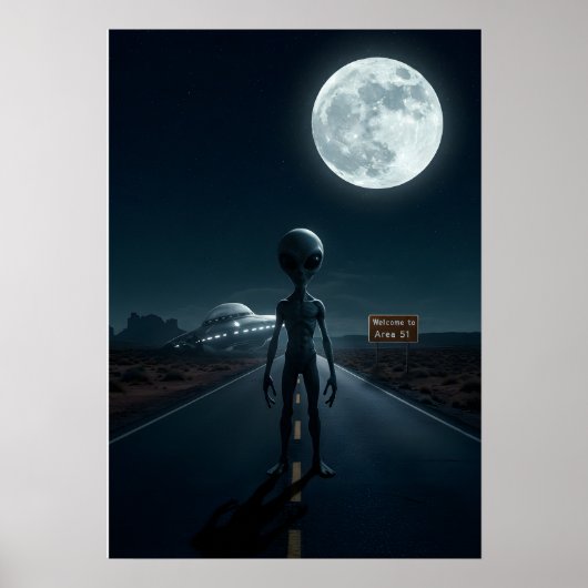 Poster Sous la lueur lunaire : l'atterrissage d'un accide (Devant)