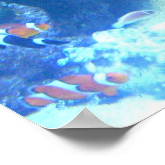 Poster sous la mer (Coin)