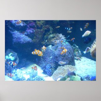 Poster sous la mer