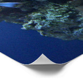 Poster Sous la mer (Coin)