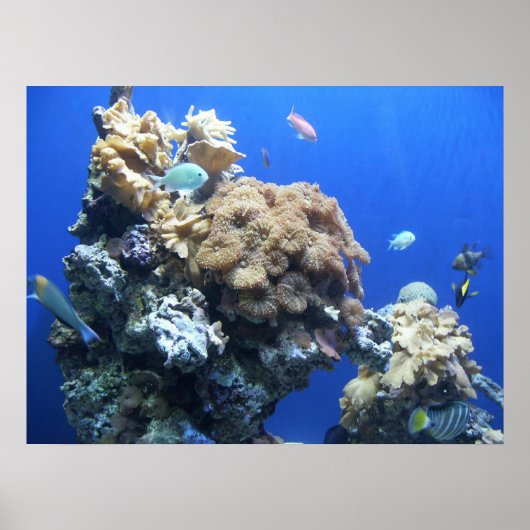 Poster Sous la mer (Devant)