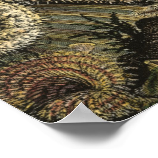 Poster Sous la mer (Coin)