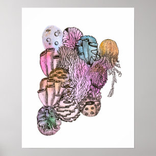Poster Sous la mer 01