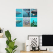 Poster Sous la mer Océan Vie Animaux Australie (Bureau à domicile)