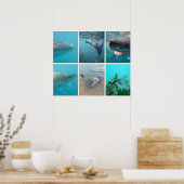 Poster Sous la mer Océan Vie Animaux Australie (Cuisine)