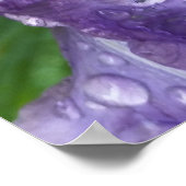 Poster sous la pluie (Coin)