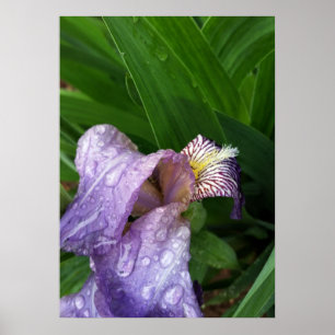 Poster sous la pluie