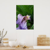 Poster sous la pluie (Cuisine)