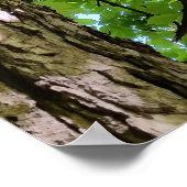 Poster sous l'arbre (Coin)