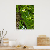 Poster sous l'arbre (Cuisine)
