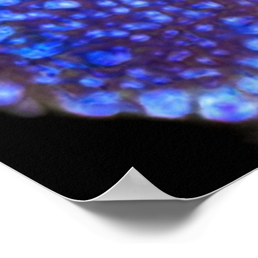 Poster Sous le microscope Art Print (Coin)