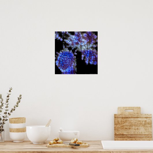 Poster Sous le microscope Art Print (Cuisine)