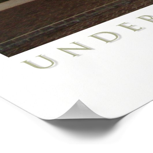 Poster Sous Le Pont (Coin)