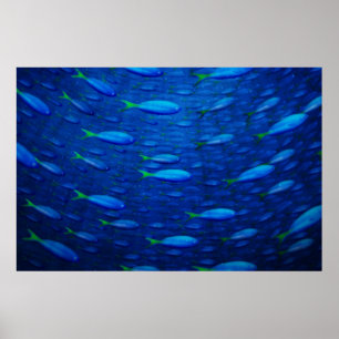 Poster Sous-marin 4