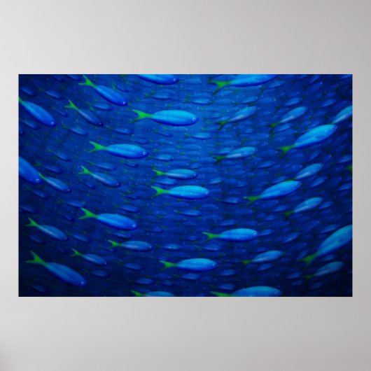 Poster Sous-marin 4 (Devant)