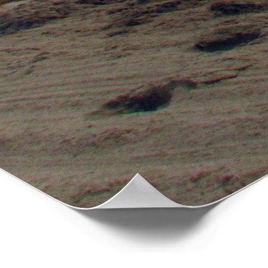 Poster South Beach (Coin)