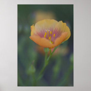 Poster South of Devine Texas along Interstate 35