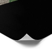 Poster Southwest Desert Arizona Cactus Collage (Coin)