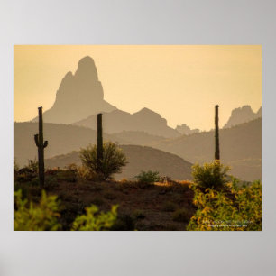 Poster Southwest Desert Mountains Weaver's Needle Arizona