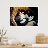 Poster Soutien mutuel (Cuisine)