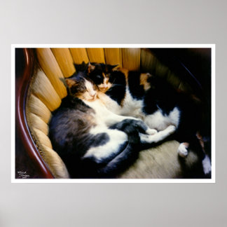 Poster Soutien mutuel