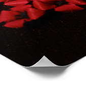 Poster Souvenir (Coin)