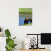 Poster Souvenir de Buffalo de Yellowstone (Bureau à domicile)