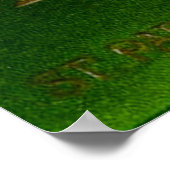 Poster souvenir de la Saint Patrick (Coin)