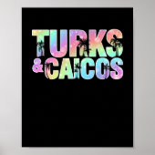 Poster Souvenir de Turks & Caicos Palm Trees (Devant)