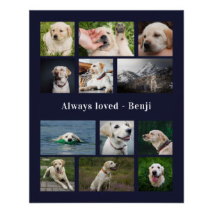 Poster Souvenir pour amateur d'animaux