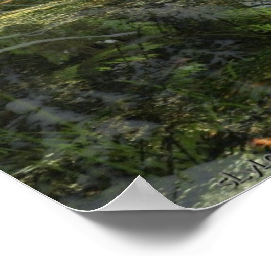 Poster Souvenirs (Coin)