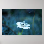 Poster Souvenirs d'été (Devant)