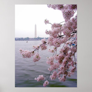 Poster Souvenirs passés