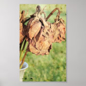 Poster Souvenirs passés (Devant)