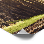 Poster Soyez Fierce Et Original (Coin)