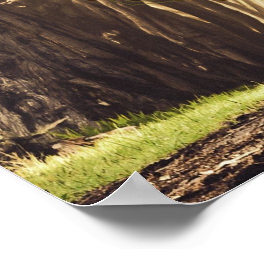 Poster Soyez Fierce Et Original (Coin)