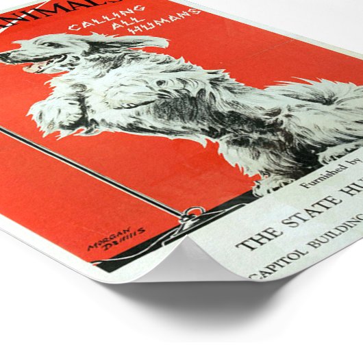 Poster Soyez Gentils Avec Les Animaux - Chien "Appelant T (Coin)