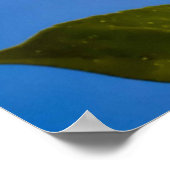 Poster Soyez Heureux. (Coin)