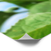 Poster Soyez Heureux. (Coin)