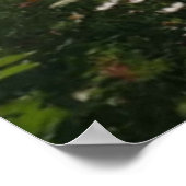 Poster Soyez Heureux. (Coin)