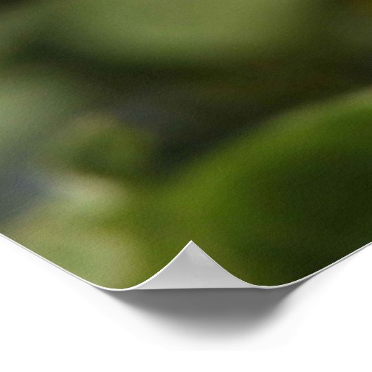 Poster Soyez Heureux. (Coin)